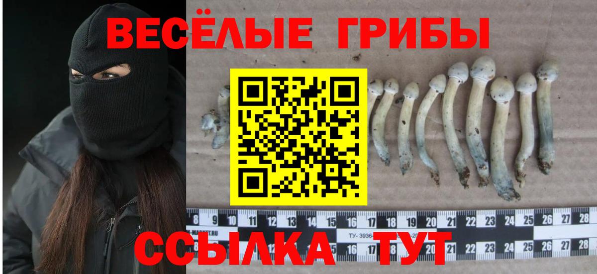Галлюциногенные грибы мухоморы  Вход с VPN  Псилоцибиновые грибы MAGIC MUSHROOMS  Нарьян-Мар 